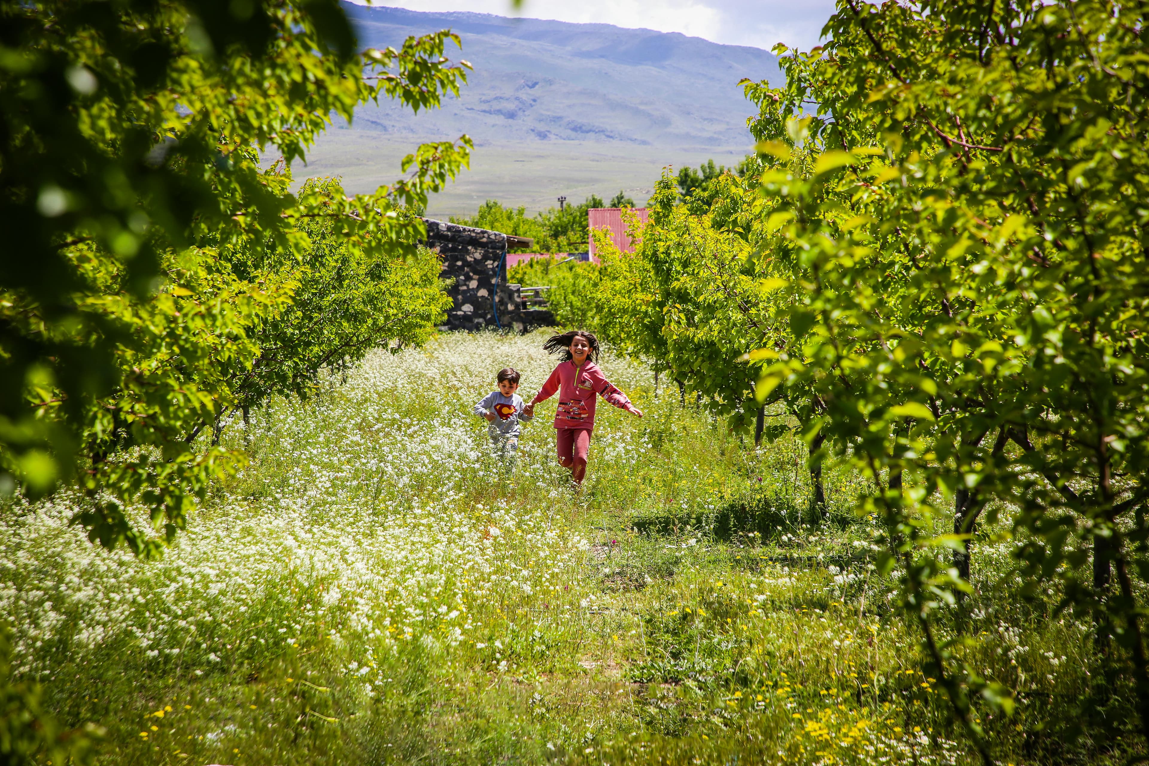 Geotagging an Ayurveda Field